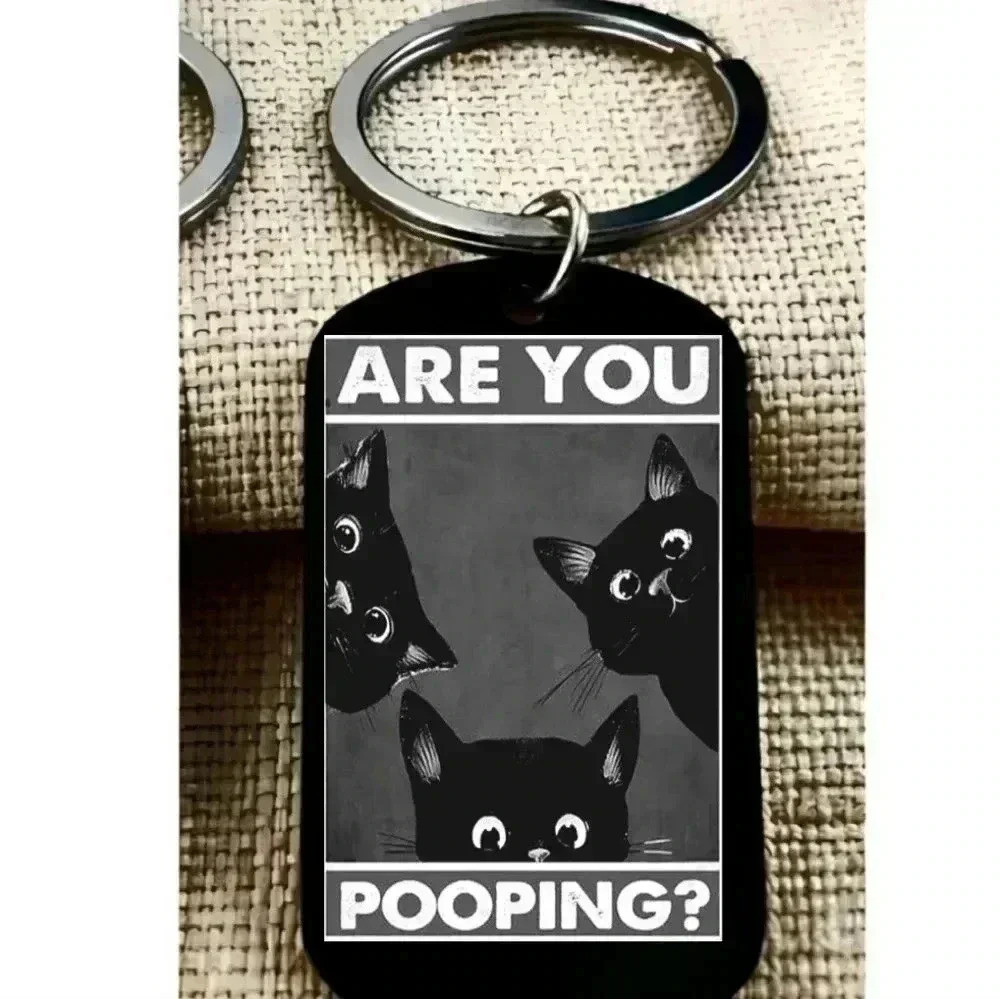 Kitty Cat funny  staring joke quote keychain